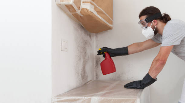 Professional Basement Mold Remediation technician working in Cliffside Park, NJ